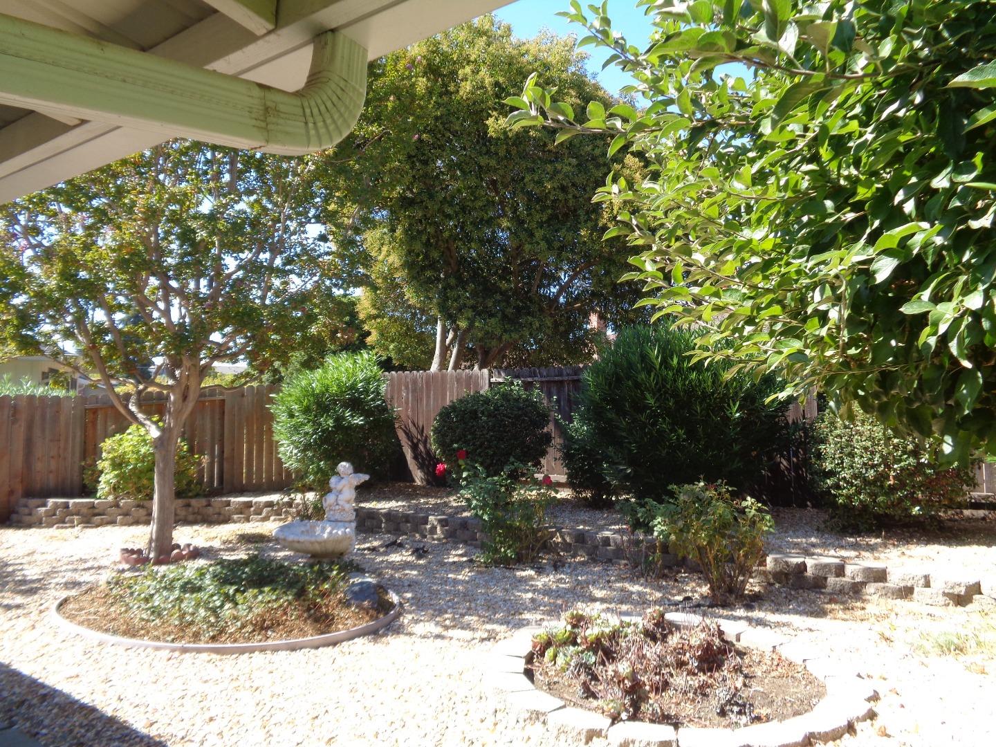 127 Dogwood Place San Ramon, CA 94583 - Photo 10 of 10 a view of a park with a tree