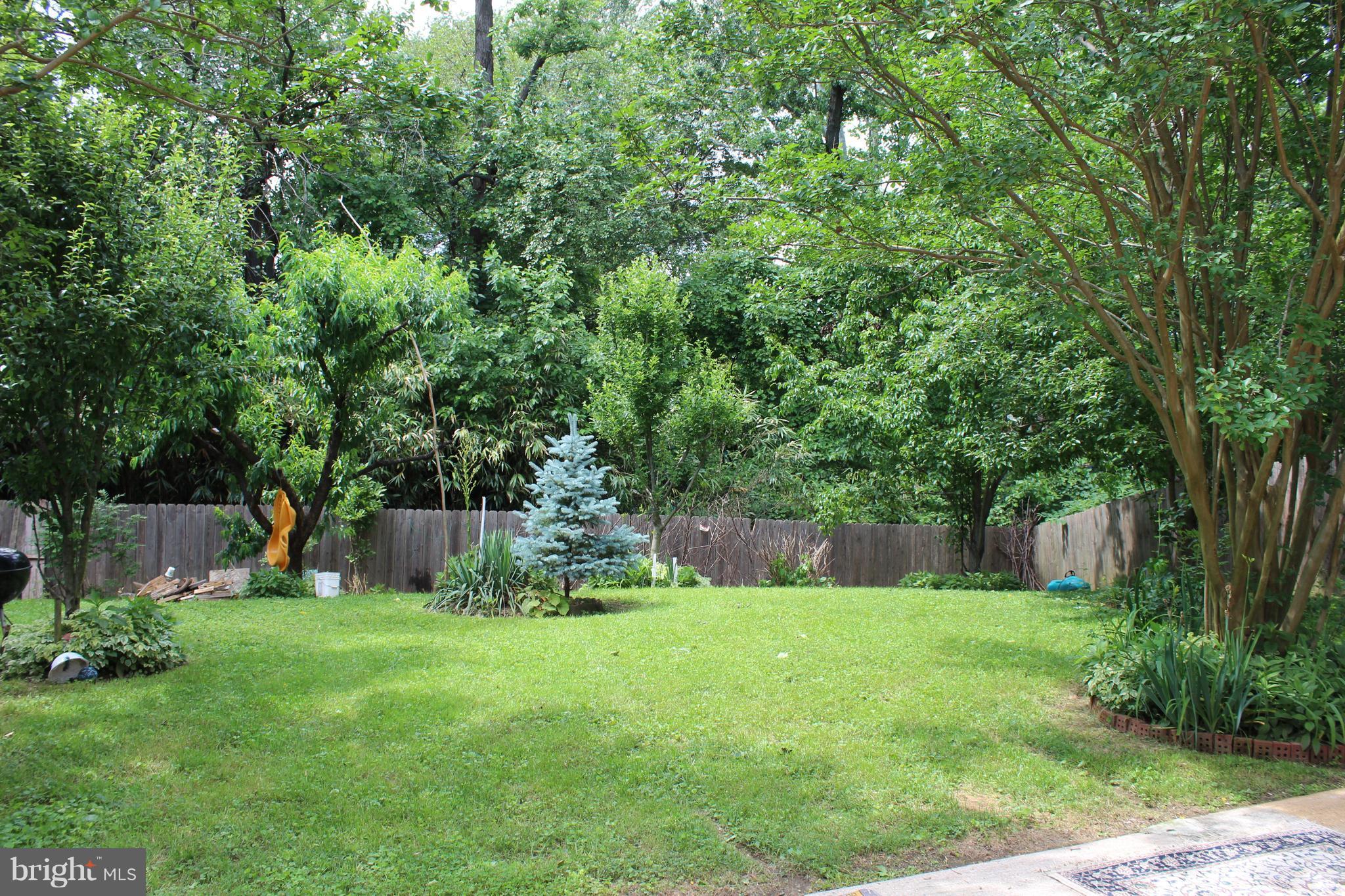 710 Whitaker Terrace Silver Spring, MD 20901 - Photo 23 of 26 Exterior (Rear)