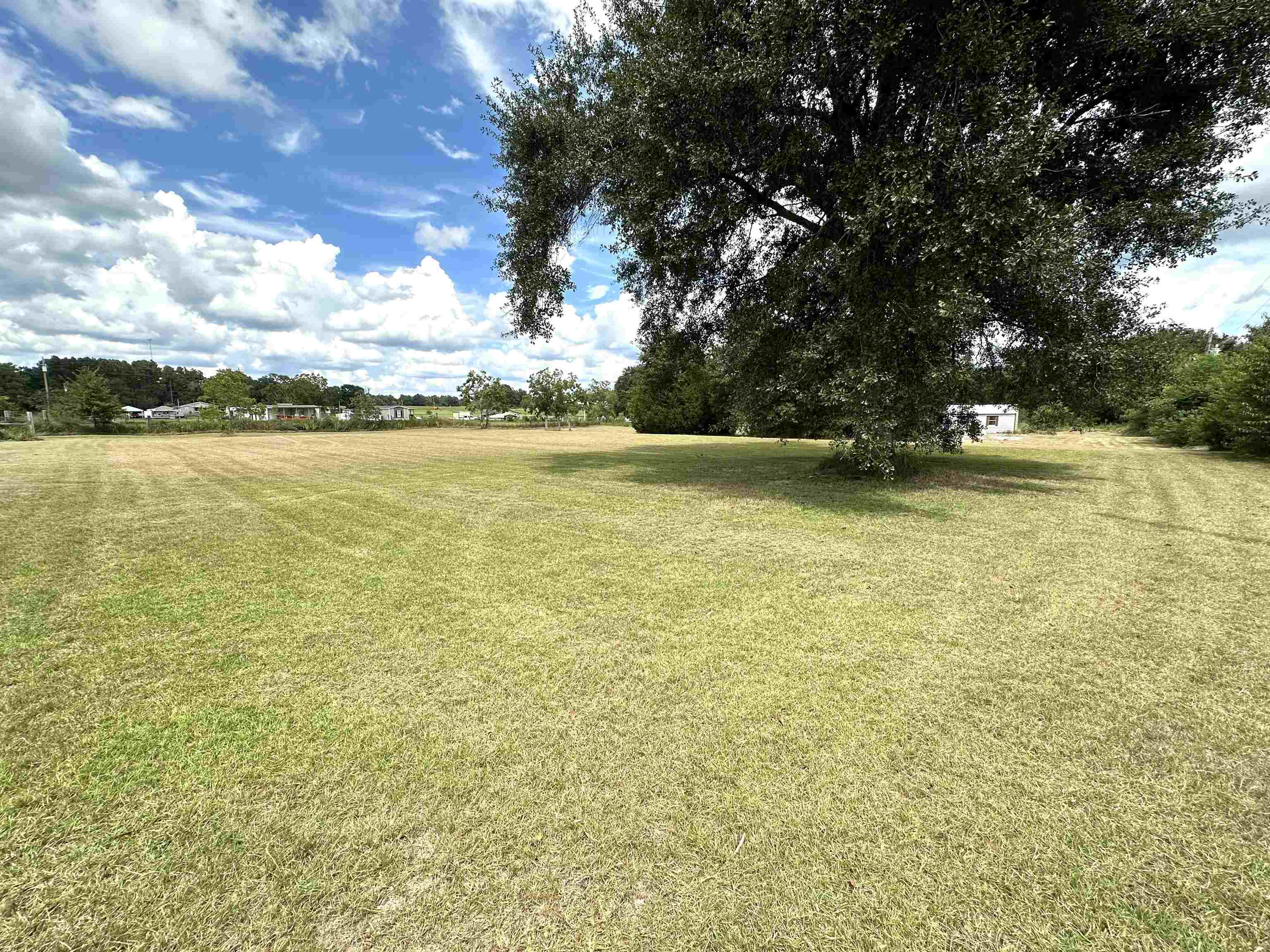 23268 T D Barnett Road Robertsdale, AL 36567 - Photo 9 of 16 Yard