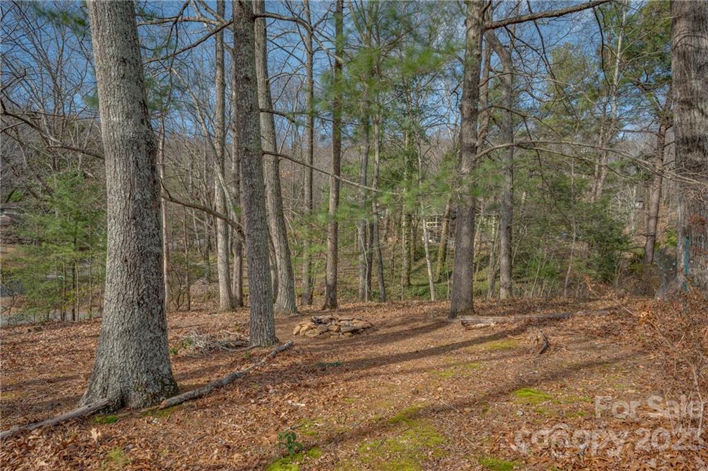 72 Doubleday Road Tryon, NC 28782 - Photo 46 of 46 a backyard of a house with lots of green space