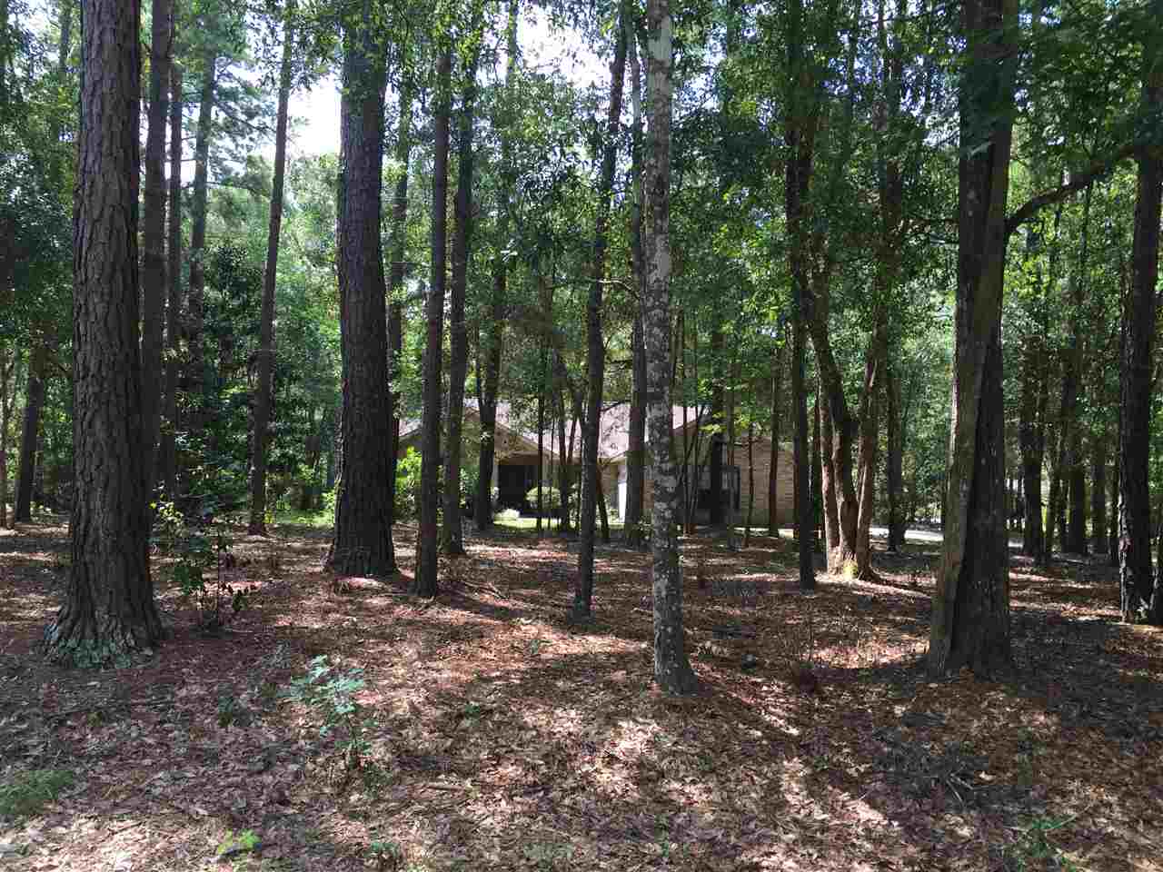 224 Meridian Hills Road Tallahassee, FL 32312 - Photo 1 of 6 Gallery Image 1