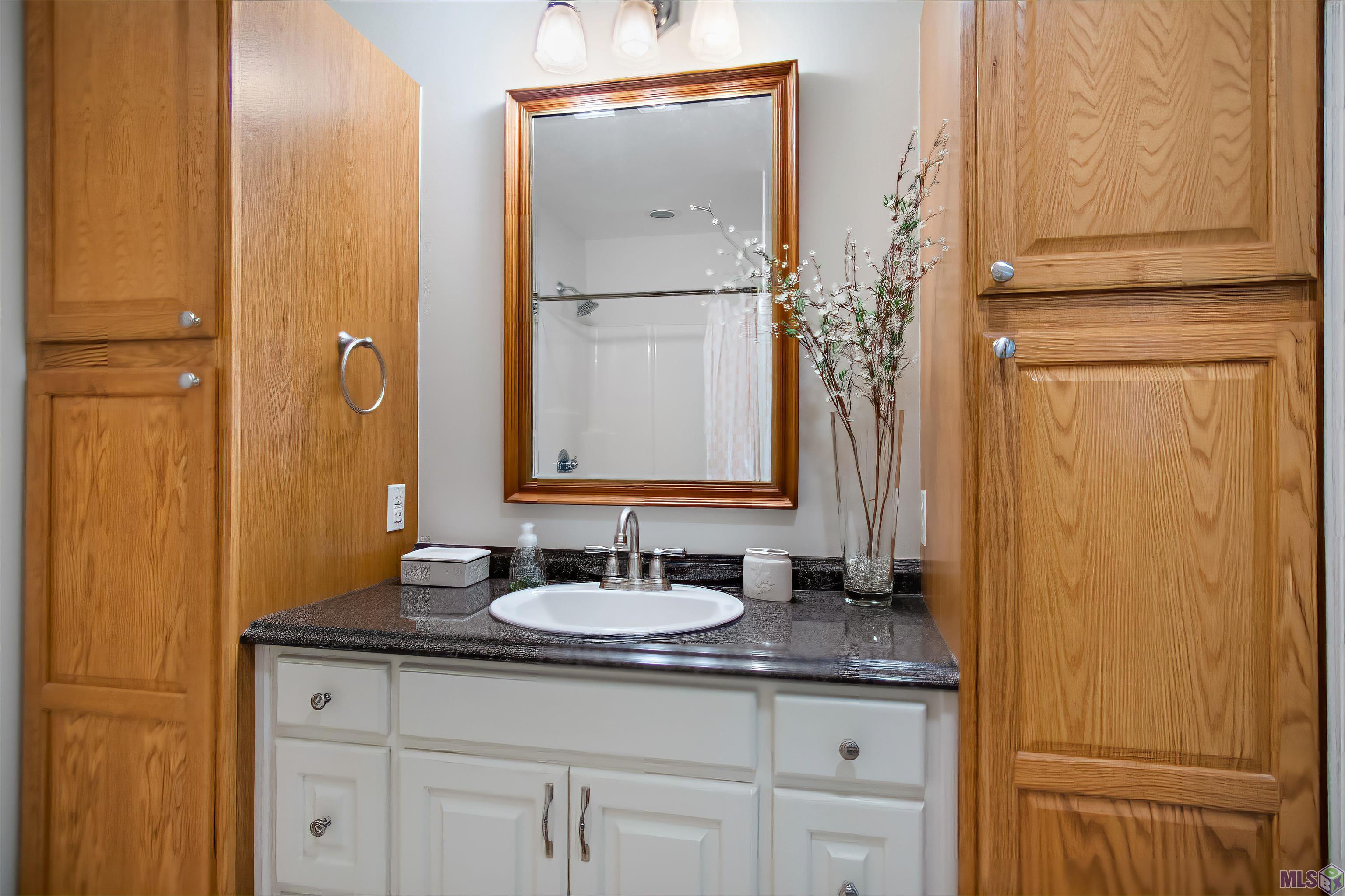 15311 Henderson Bayou Road Prairieville, LA 70769 - Photo 33 of 39 Gallery Image 33