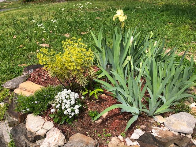 136 Revere Circle Oak Ridge, TN 37830 - Photo 23 of 23 IMG_1386