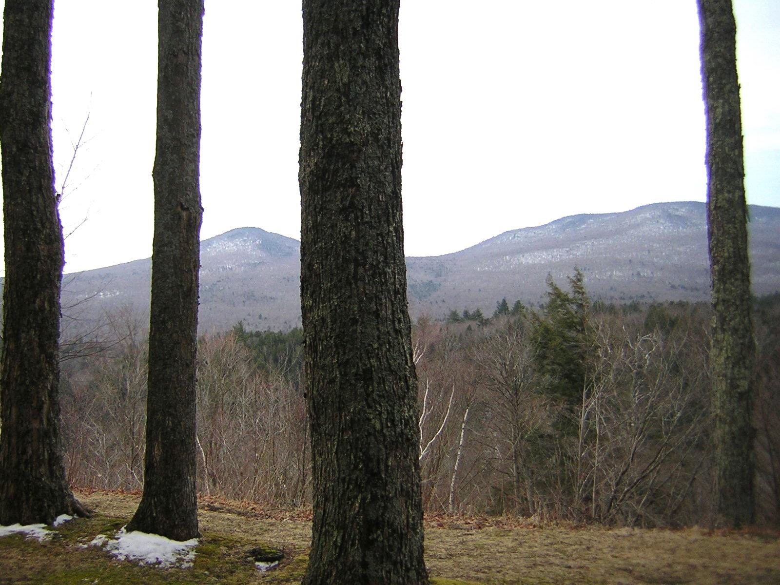 1309 Notchbrook Road, Unit 1 Stowe, VT 05672 - Photo 3 of 6 Gallery Image 3