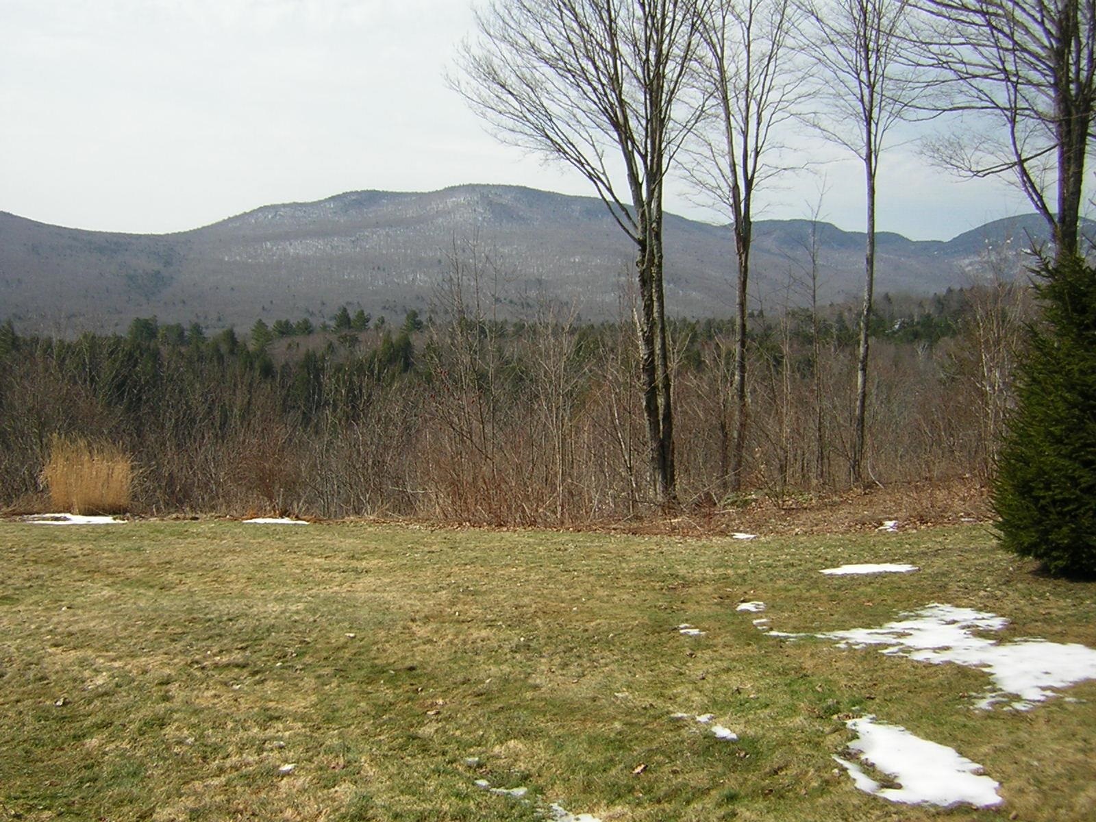 1309 Notchbrook Road, Unit 1 Stowe, VT 05672 - Photo 6 of 6 Gallery Image 6