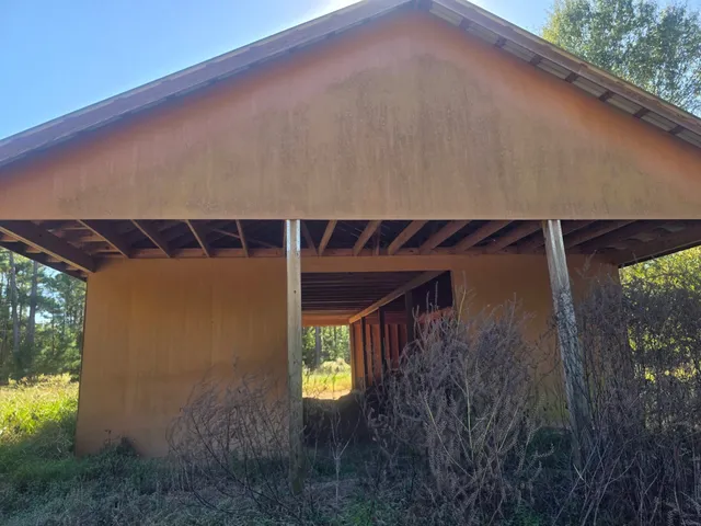a view of a yard with a tree