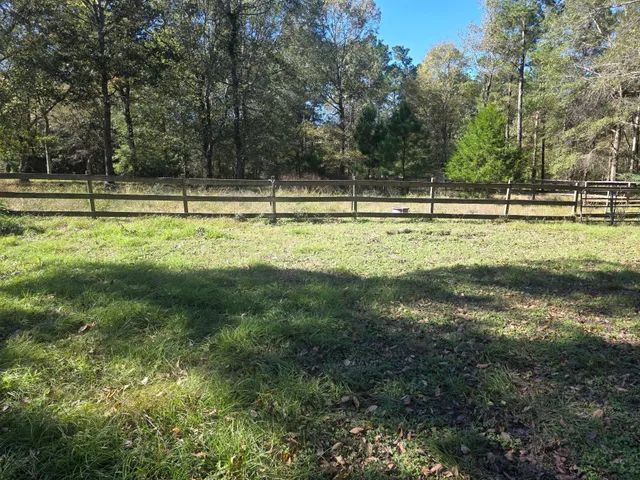 a view of yard with trees
