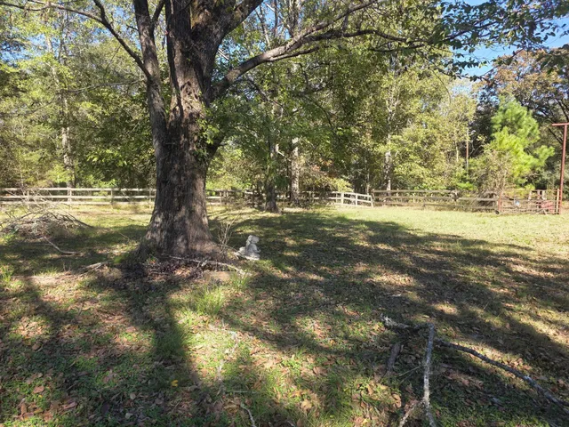 a view of outdoor space with deck and tree