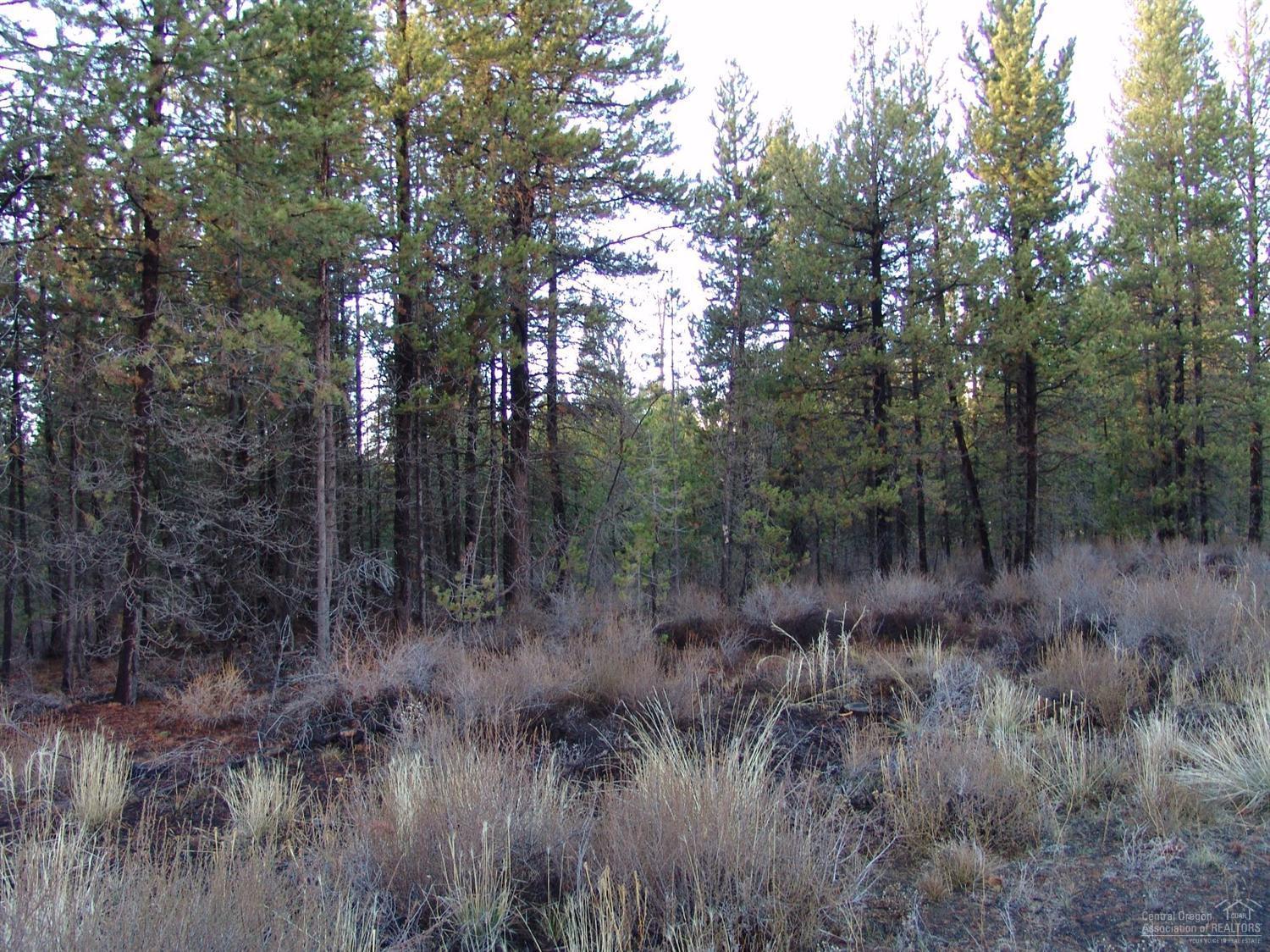 52685 Drafter Road La Pine, OR 97739 - Photo 11 of 15 Additional Photo