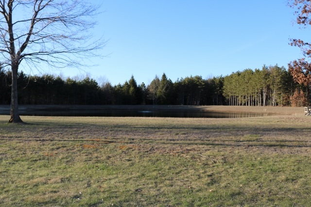 11562 West Fillmore Road Sumner, MI 48889 - Photo 27 of 31 1814222-26.JPG