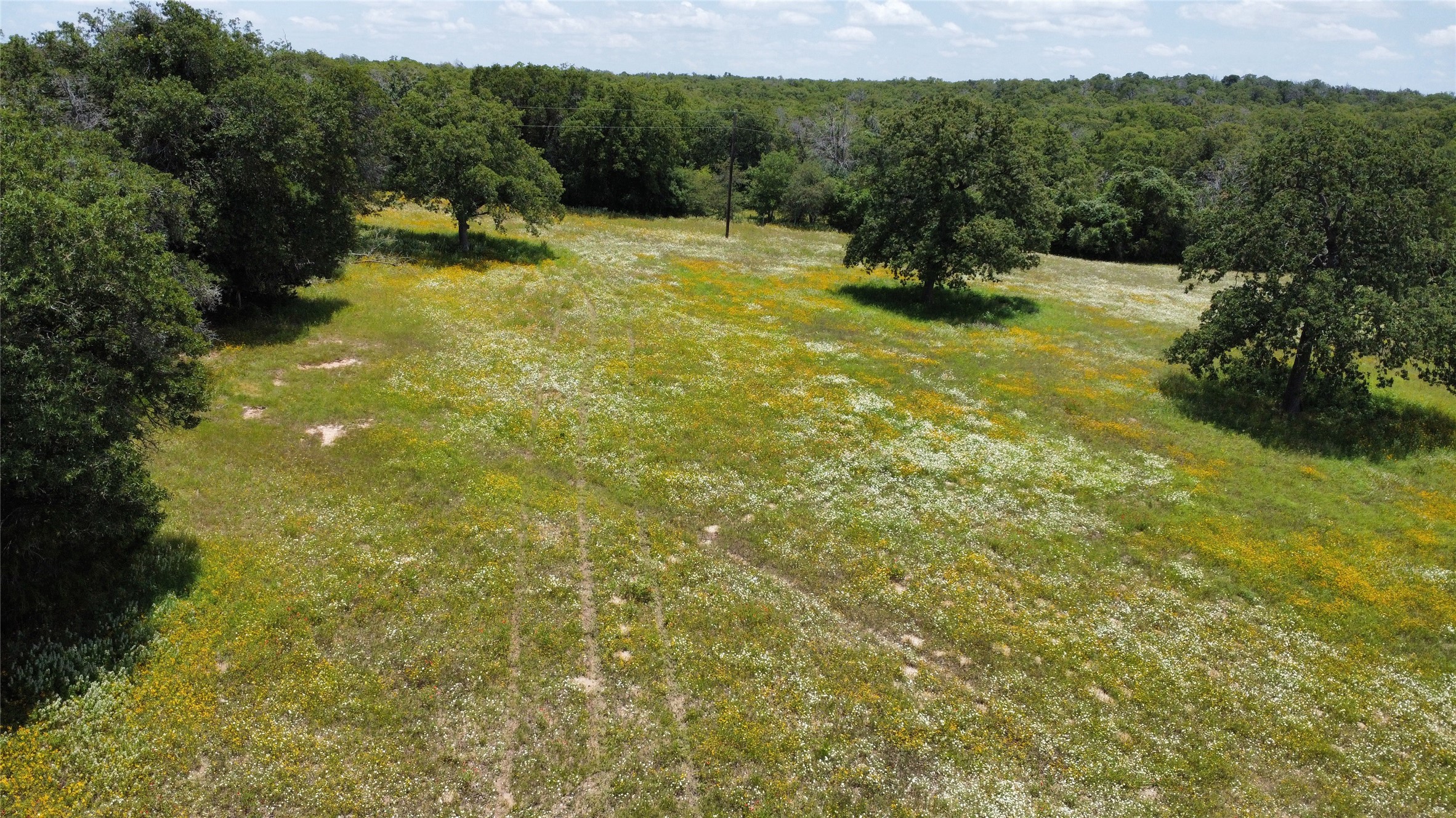 174 Wilson Road, Unit A Elgin, TX 78621 - Photo 28 of 34