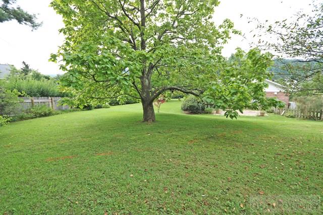 146 Bamboo Road Boone, NC 28607 - Photo 28 of 31 Gallery Image 28