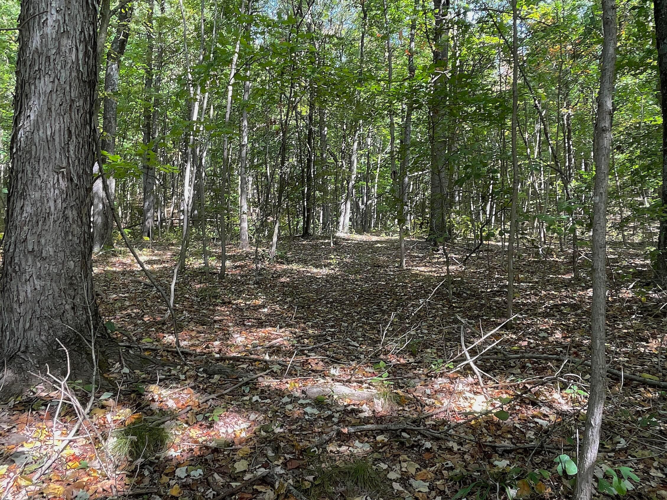 0 Porter Run Road Frankfort, OH 45628 - Photo 22 of 51 IMG_3230