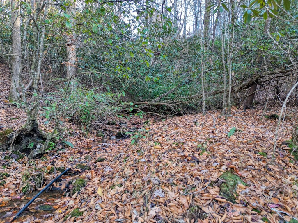 408 Smith Road Brasstown, NC 28902 - Photo 30 of 38