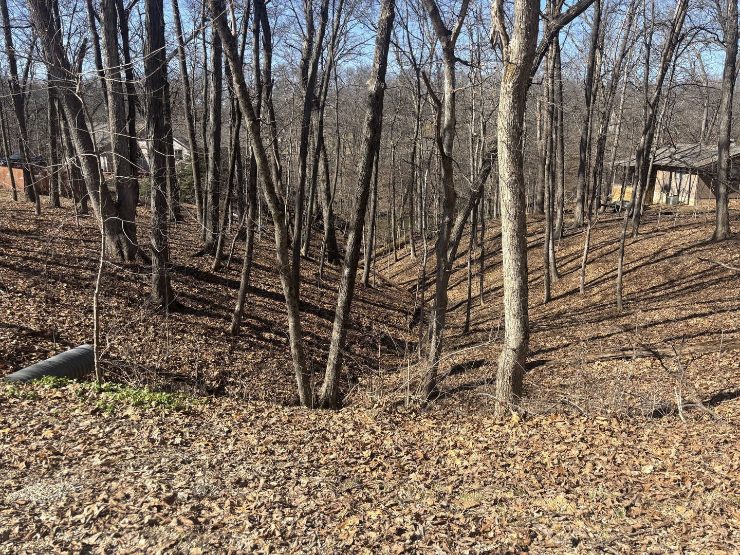 a view of a backyard of the house