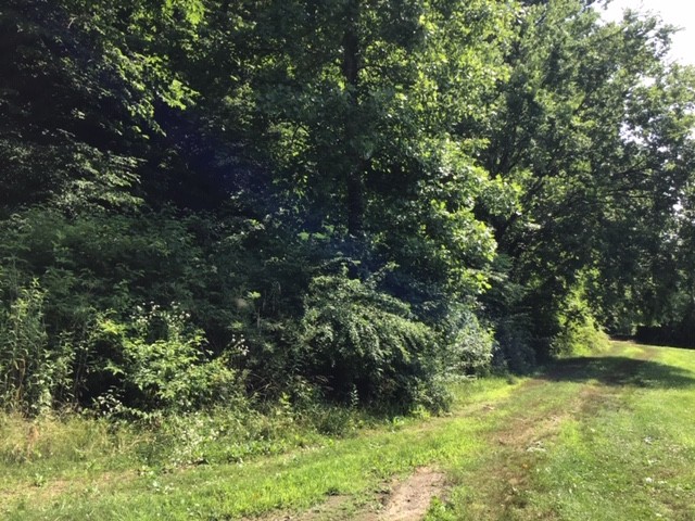 162 Hidden Valley Road Waynesboro, TN 38485 - Photo 12 of 16 Gallery Image 12