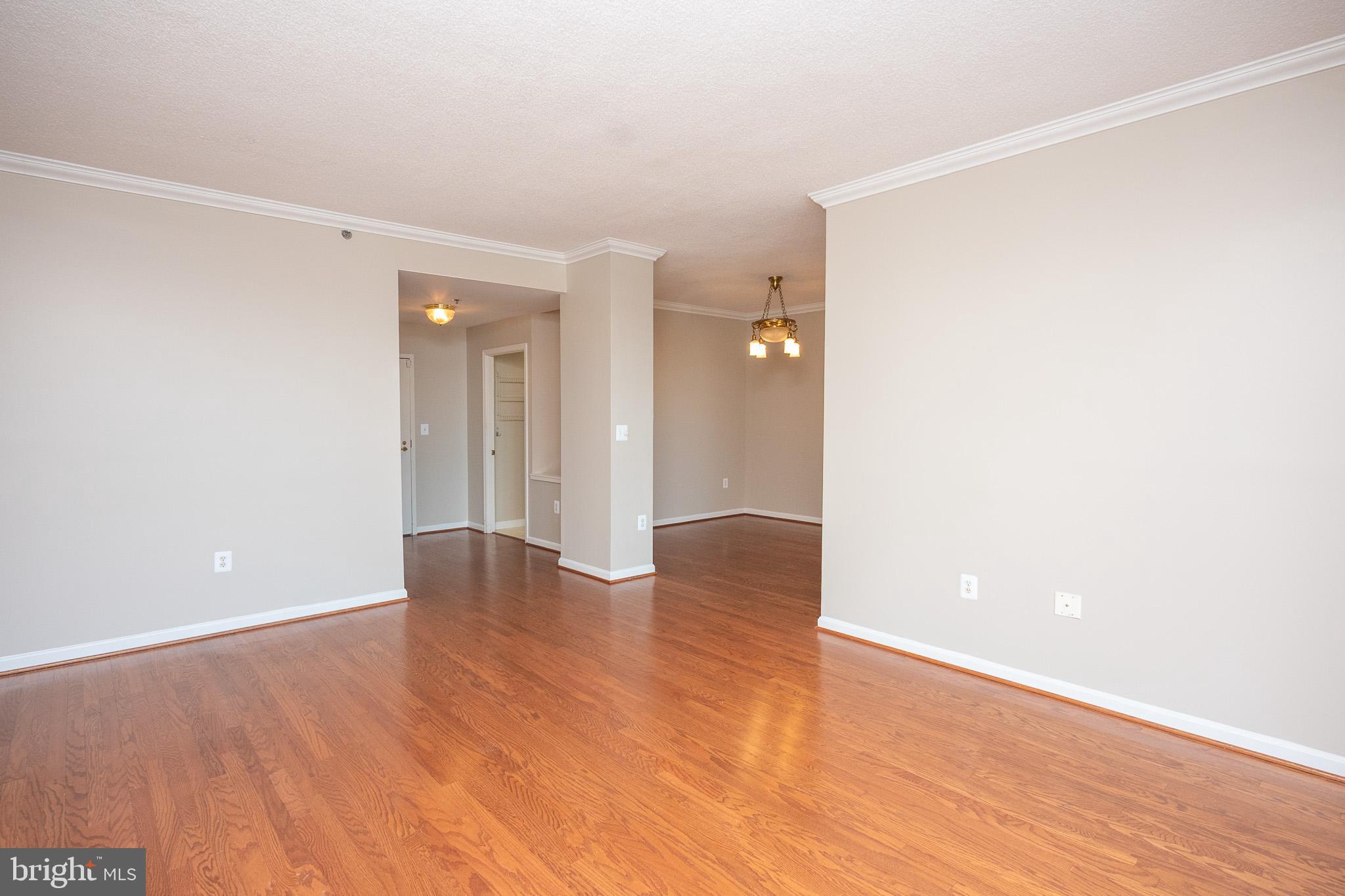 3200 North Leisure World Boulevard, Unit 1007 Silver Spring, MD 20906 - Photo 12 of 36 Freshly Painted