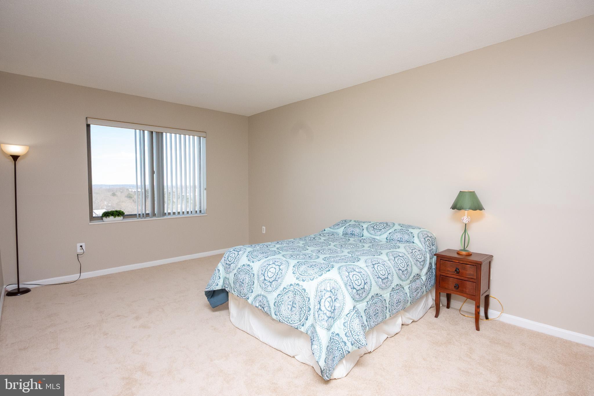3200 North Leisure World Boulevard, Unit 1007 Silver Spring, MD 20906 - Photo 15 of 36 Large Primary Bedroom with New Carpet