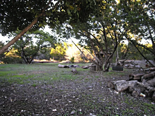 a view of outdoor space with trees
