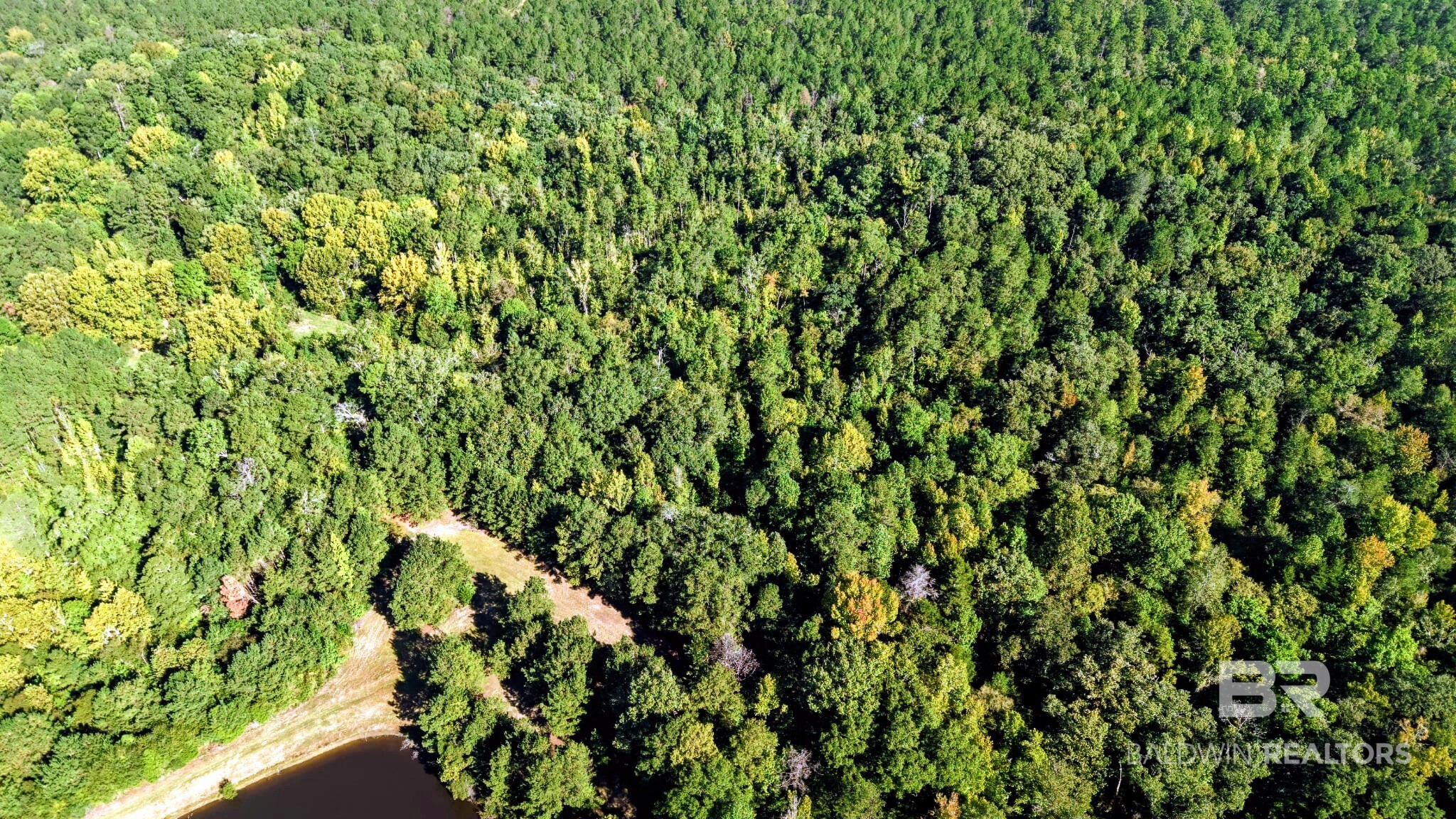 0 Highway 17 Millry, AL 36558 - Photo 43 of 73 Gallery Image 43