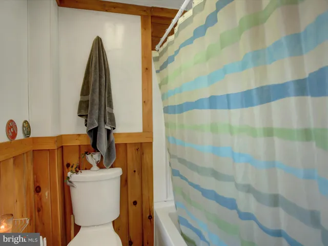 a bathroom with a toilet and a shower curtain