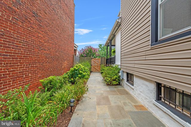 a view of a pathway with a potted plants