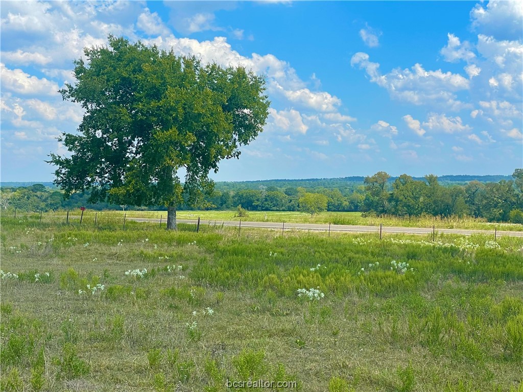 1486 St Richards Tx 77873 Richards, TX 77873 - Photo 1 of 1 a view of a green field