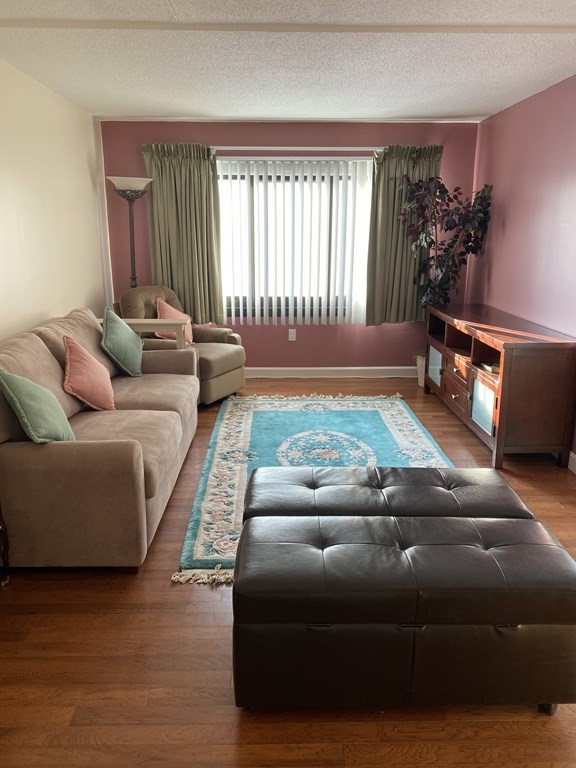a living room with furniture rug and a window