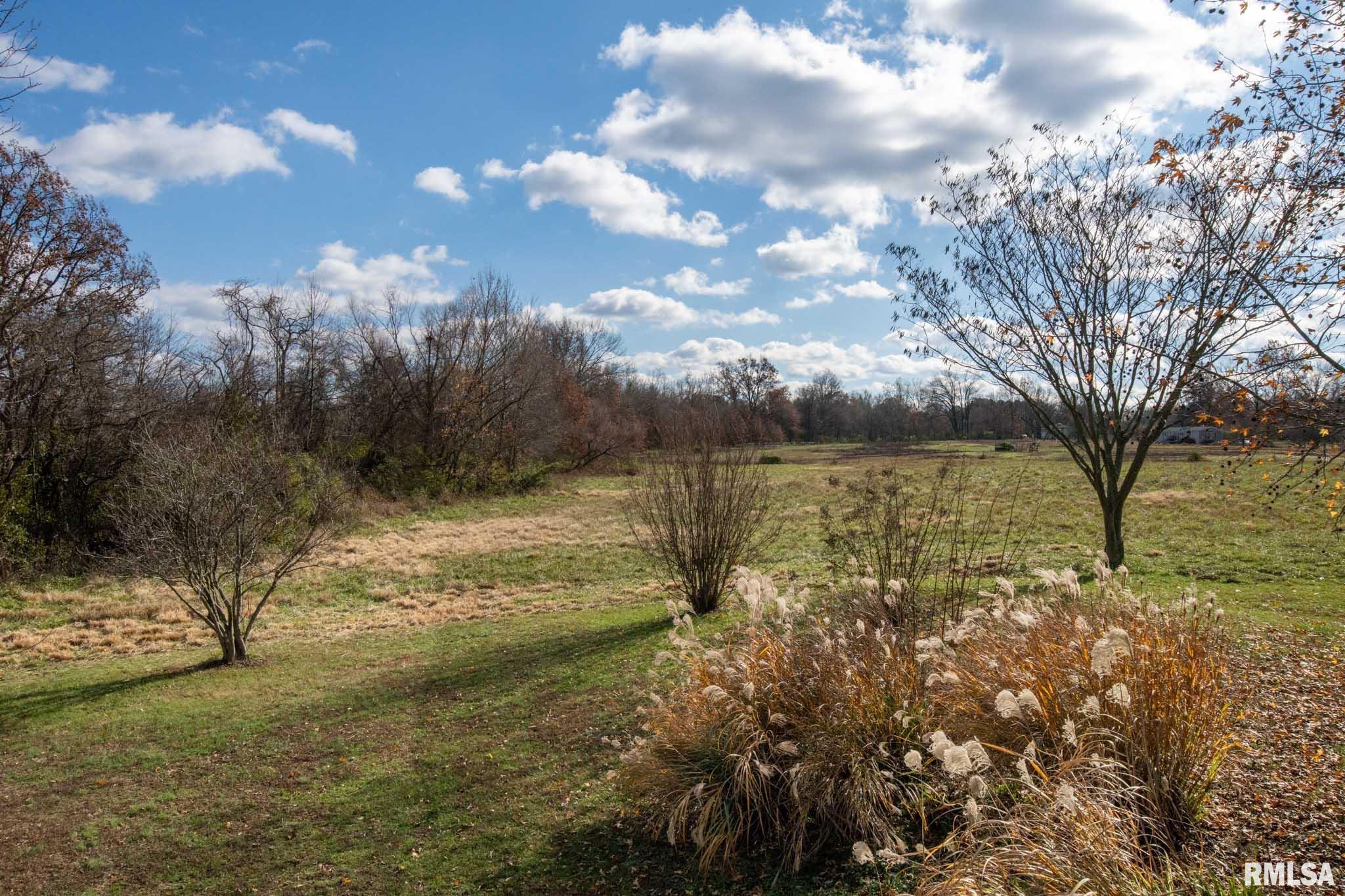 450 Clark School Road De Soto, IL 62924 - Photo 35 of 48