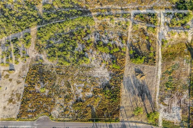 a view of a pathway both side of a road with plants