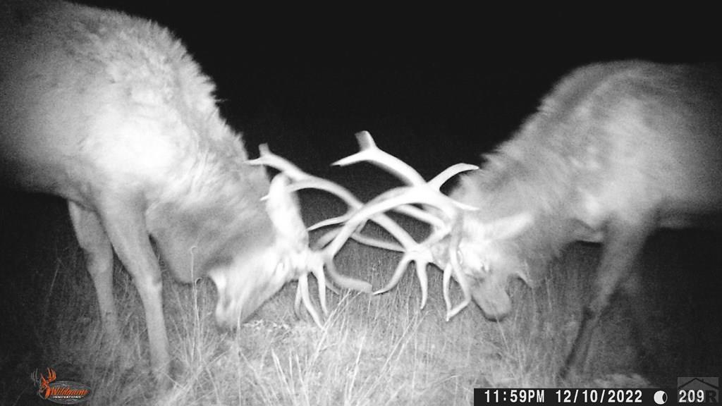 0 Co Road Trinidad, CO 81082 - Photo 49 of 64 Gallery Image 49