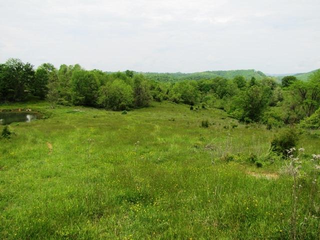 Johnson Crossroads Union, WV 24983 - Photo 14 of 21 Gallery Image 14