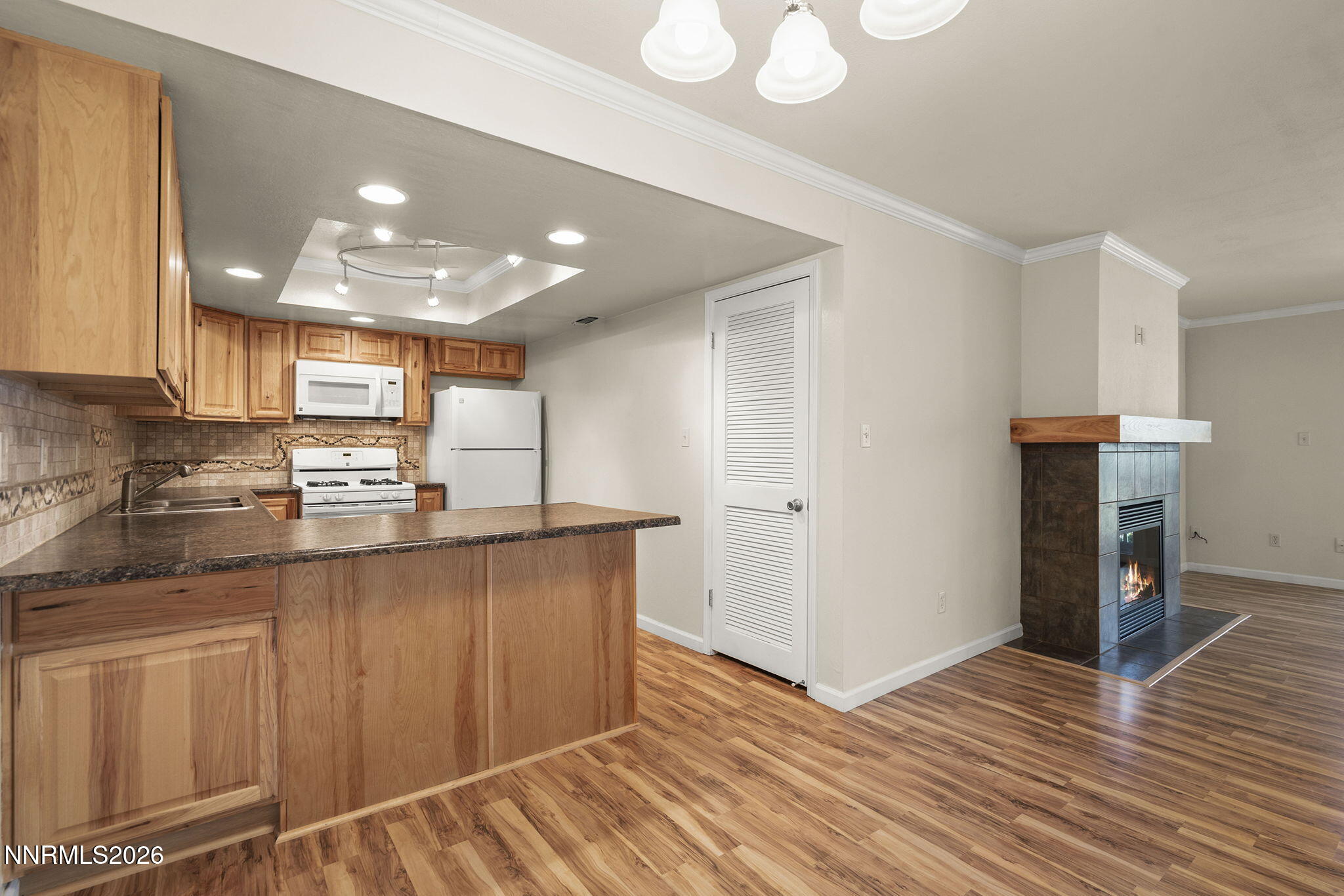 2300 Dickerson Road Reno, NV 89503 - Photo 7 of 21 10-web-or-mls-_DSC0554