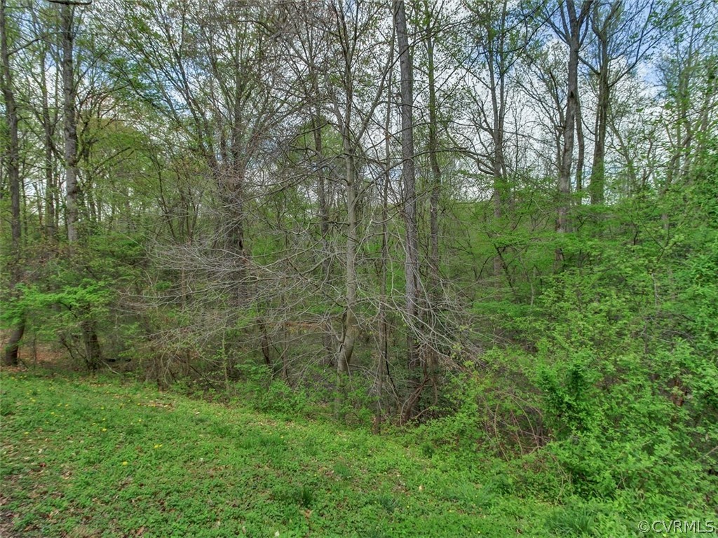 2512 Beaver Falls Road Midlothian, VA 23112 - Photo 25 of 25 Gallery Image 25