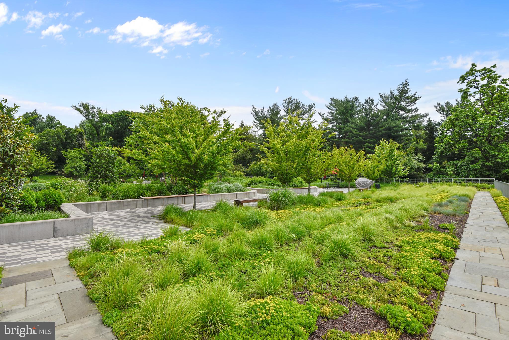 5101 River Road, Unit 1608 Bethesda, MD 20816 - Photo 31 of 38 promenade