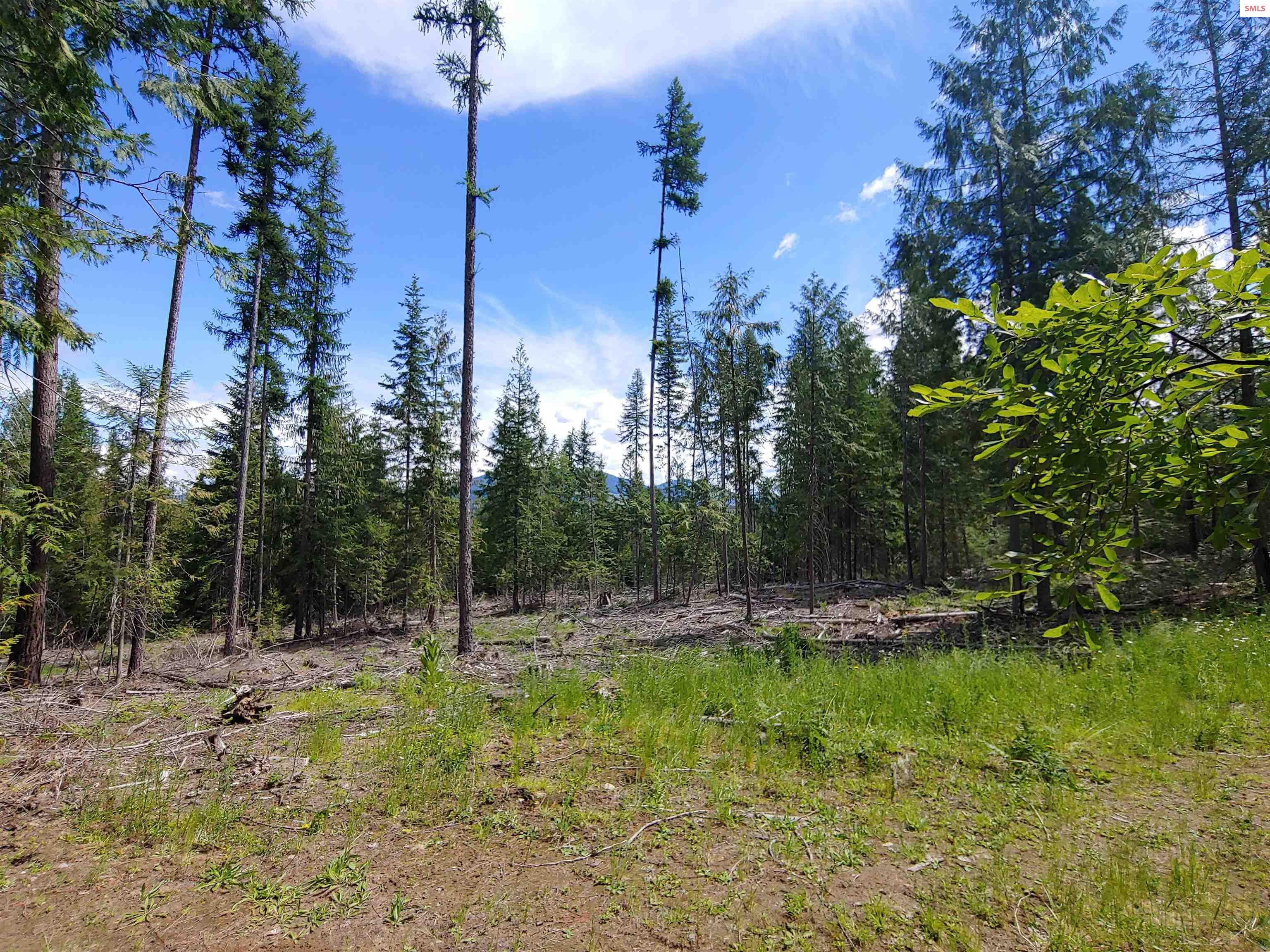 Nna Elk Ridge Road Athol, ID 83801 - Photo 7 of 12