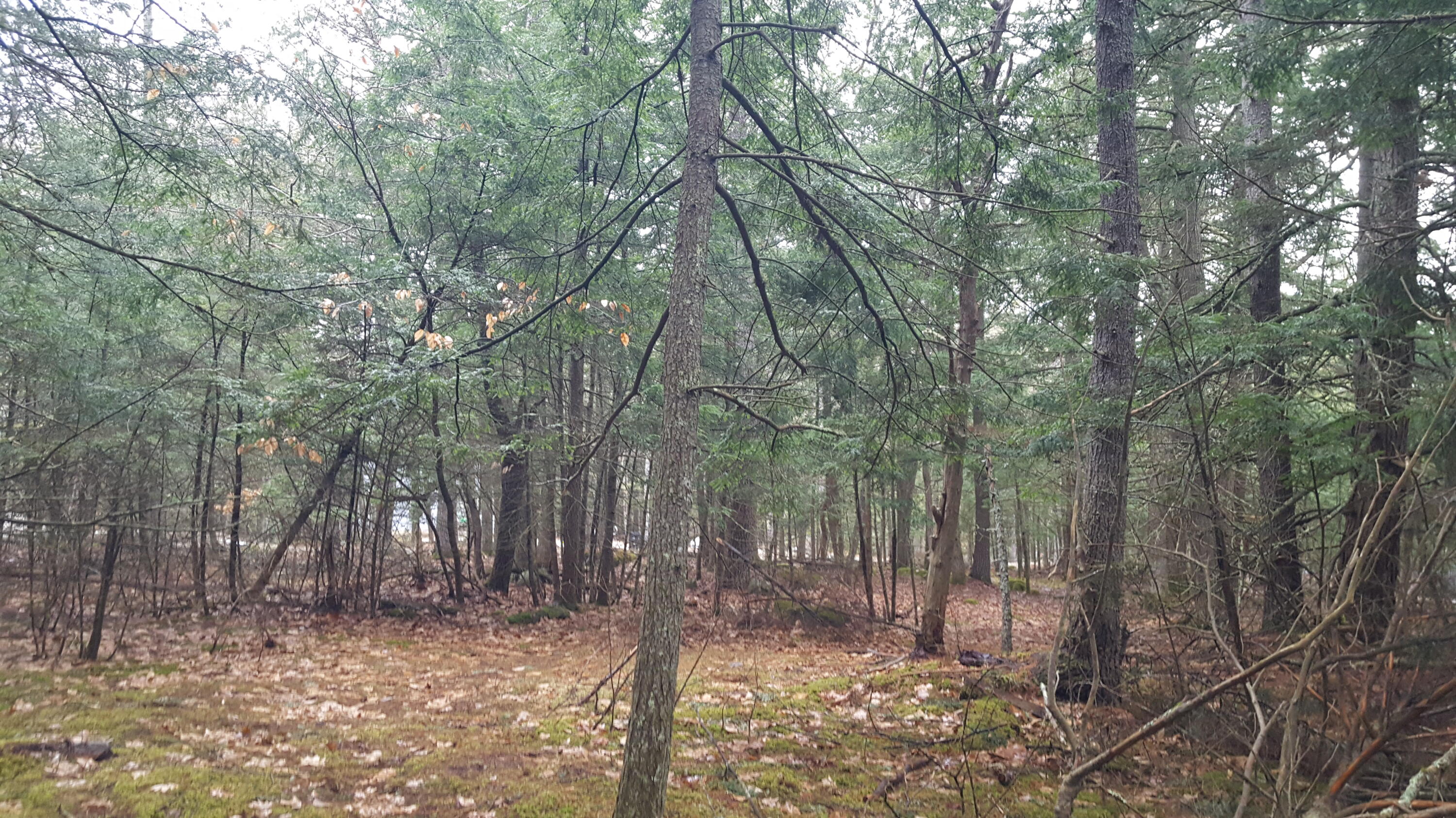 53 Johnson Road Windham, ME 04062 - Photo 16 of 22