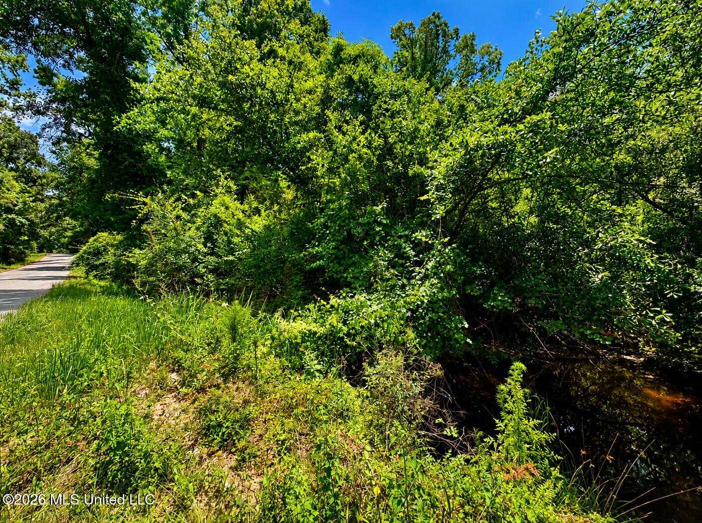8.2-acres Breland Road McLain, MS 39456 - Photo 5 of 11 Land