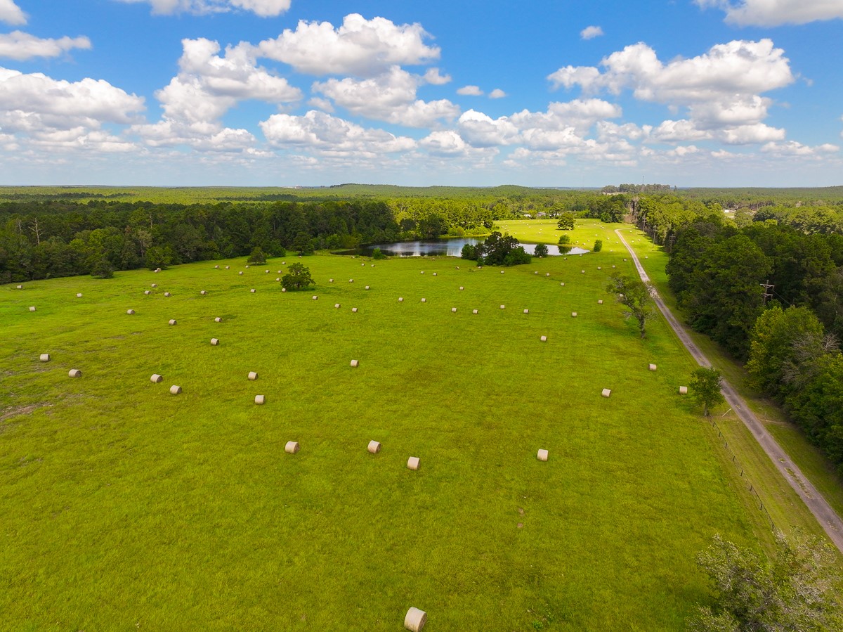 567 Tamie Lowe Road Moscow, TX 75960 - Photo 6 of 50 Gallery Image 6