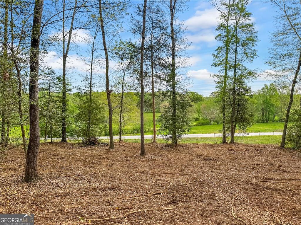 101 Broad River Road Eastanollee, GA 30538 - Photo 1 of 11 Gallery Image 1