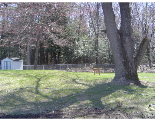 142 Sackett Road Westfield, MA 01085 - Photo 8 of 12 Gallery Image 8