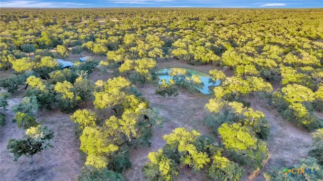 a view of a house with backyard and a tree