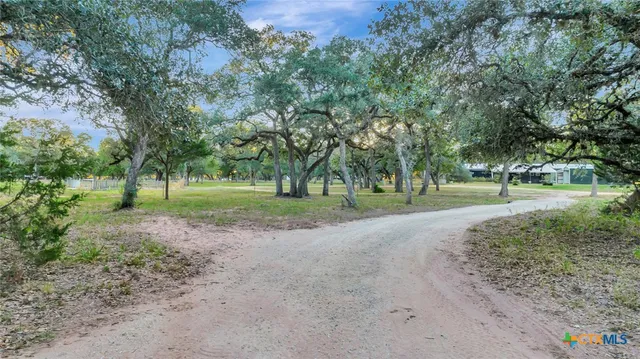 a view of a dirt road with trees in the background