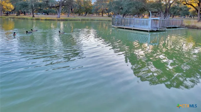 a view of a lake with a wooden bridge