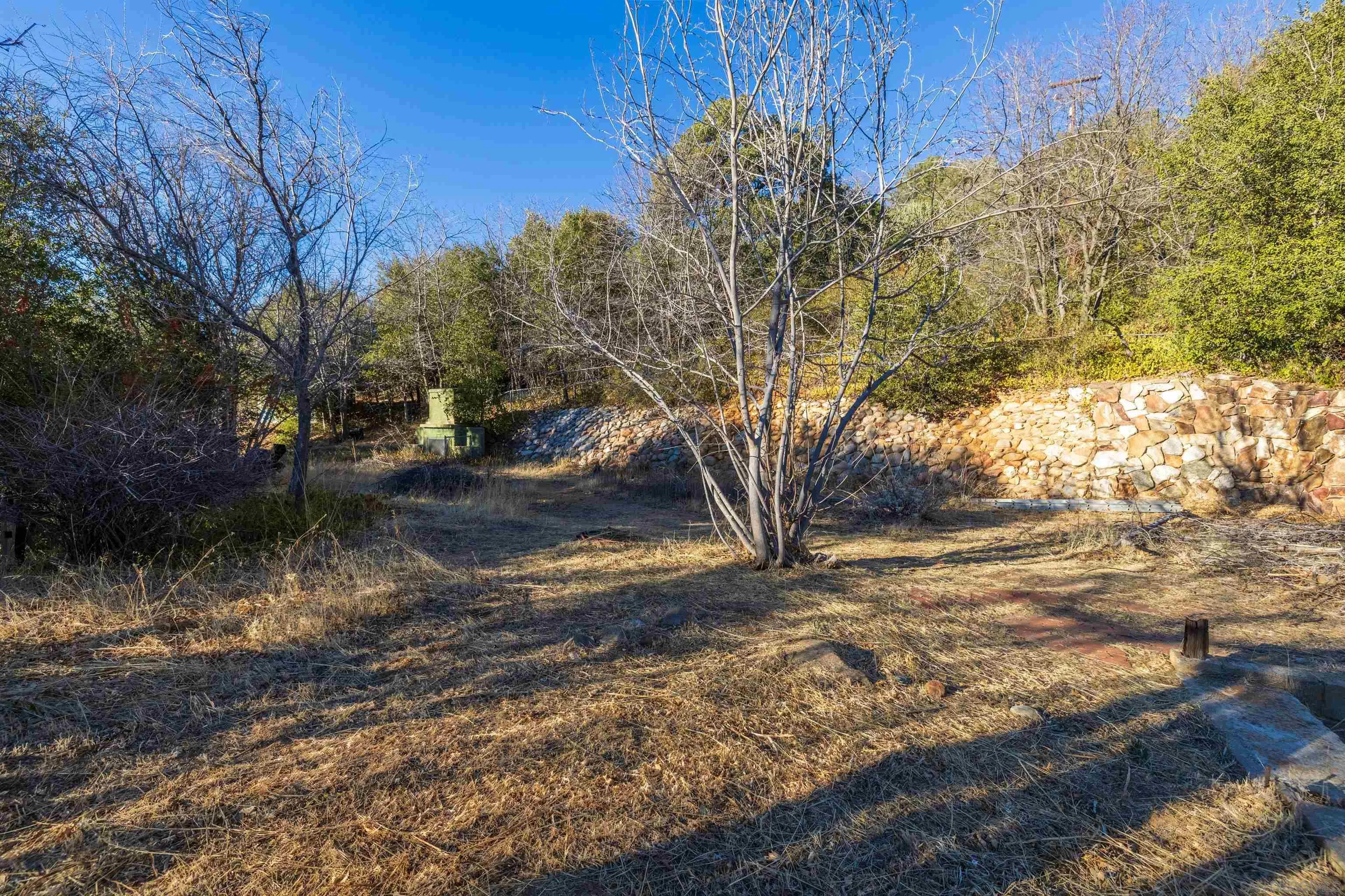 5298 Pine Hills Road, Unit 1 Julian, CA 92036 - Photo 5 of 21 a view of backyard of house