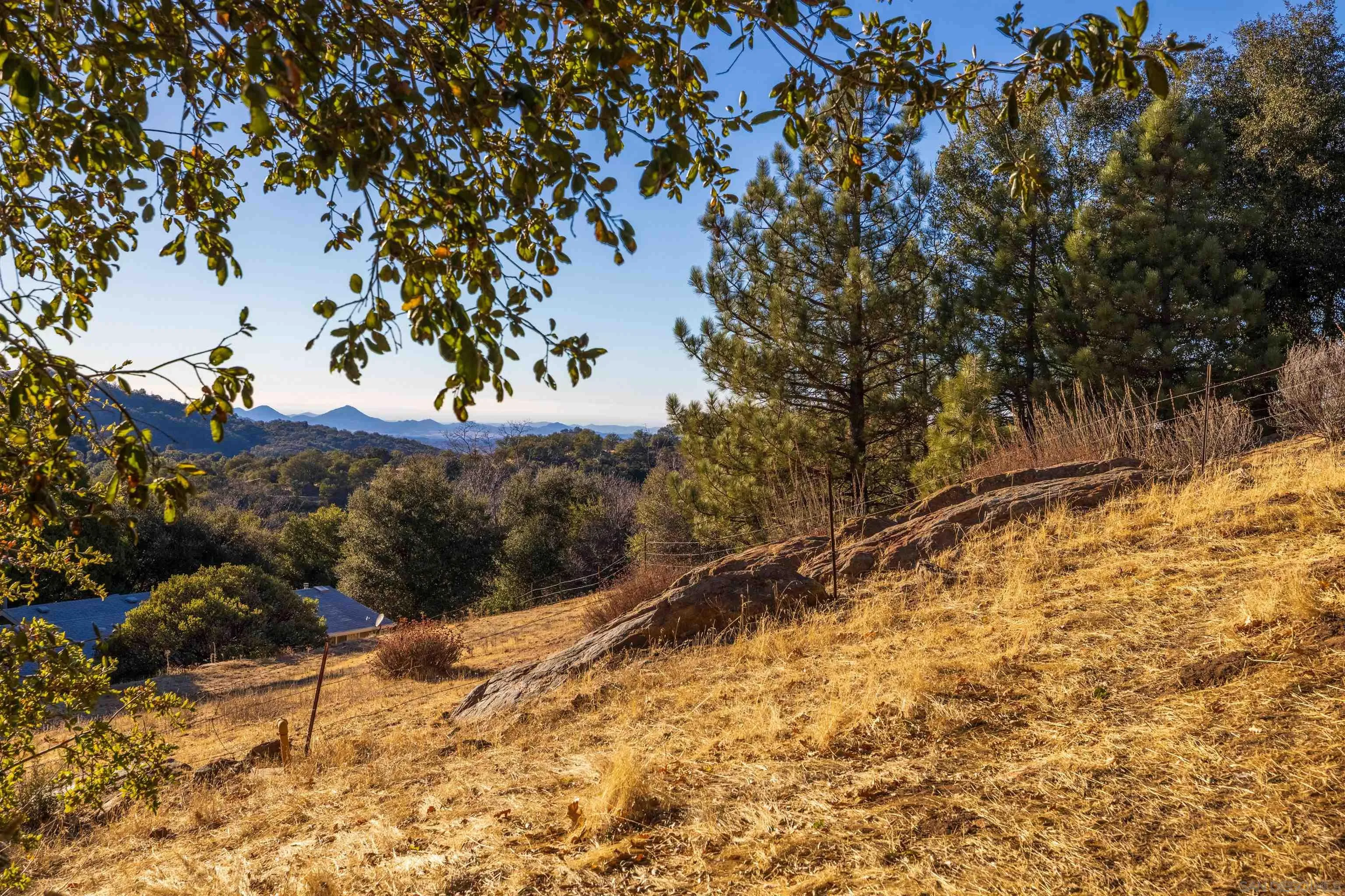 5298 Pine Hills Road, Unit 1 Julian, CA 92036 - Photo 9 of 21 a view of a yard with trees
