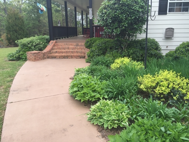 4433 Johnstonville Road Forsyth, GA 31029 - Photo 37 of 37 a view of a backyard with plants and large trees