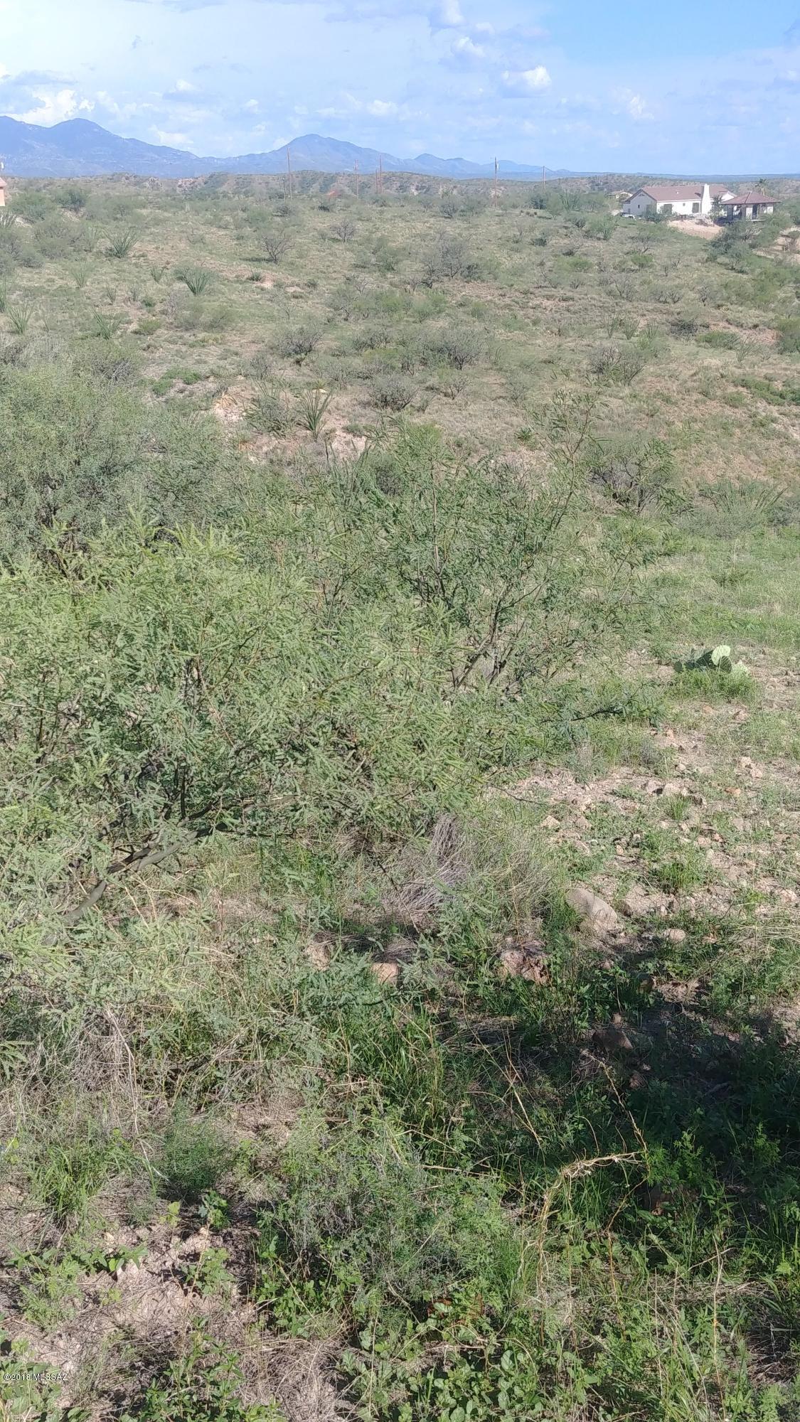 1035 Paseo Guebabi, Unit 109 Rio Rico, AZ 85648 - Photo 4 of 4