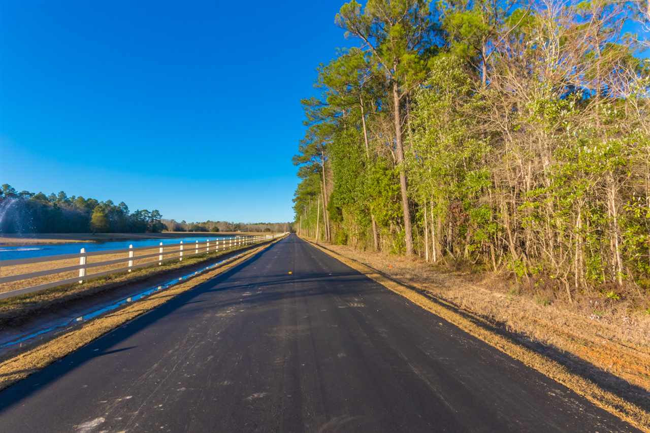 24570 Miflin Road Elberta, AL 36530 - Photo 10 of 15