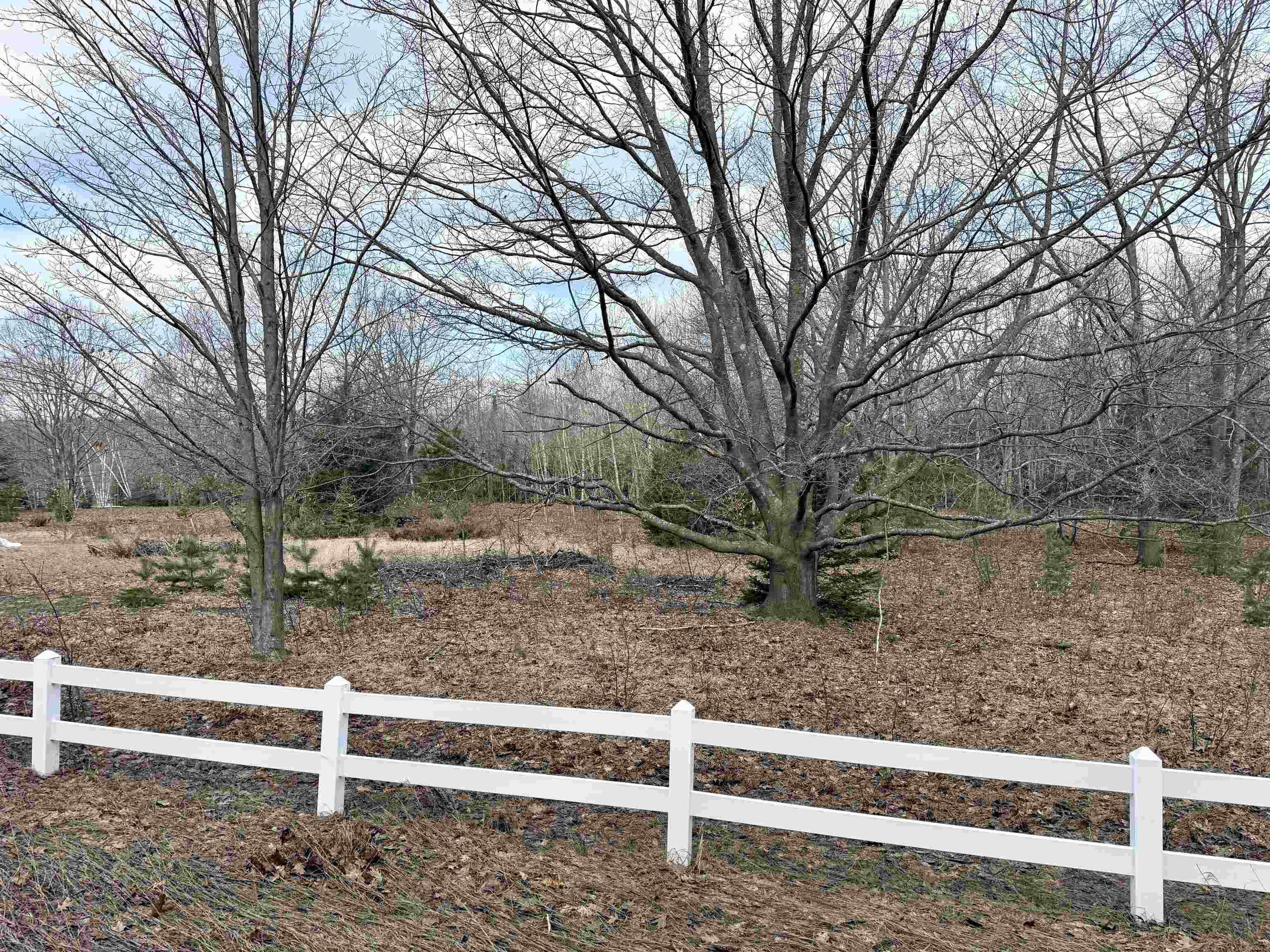 0 East Sandy Lane Cedar, MI 49621 - Photo 16 of 20